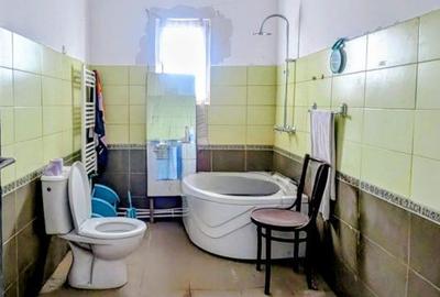 Spațiu comercial, de 240 mp, în Holod - 14