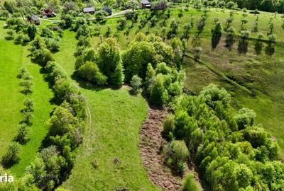 Spațiu comercial, în Copalnic - 16