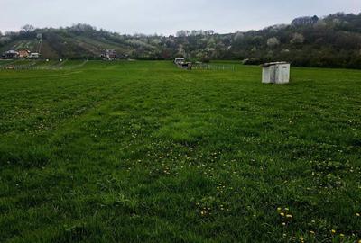 Spațiu comercial, în Cristian - 3