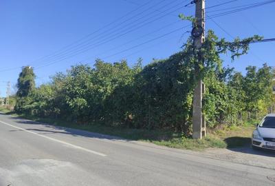 Vanzare Teren Intravilan 2.001 mp. cu utilitati ~ Isaccea ~ Centru - 5