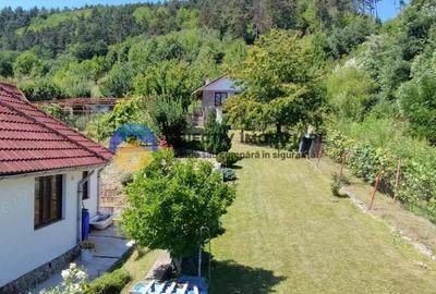 Casa + teren de vanzare - Garcina - 2