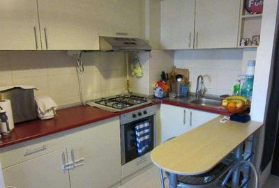 Apartament cu 2 camere semidecomandat în Tătărași - 4