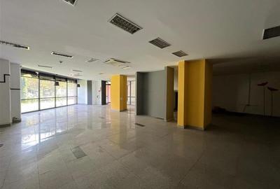 Vanzare Spatiu comercial stradal - Parter si Mezanin - 900 mp - 18