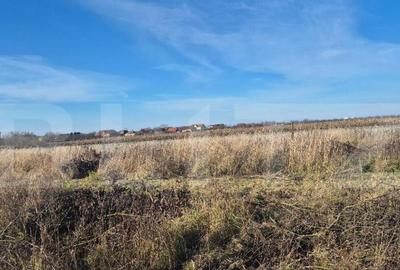 Teren intravilan de vanzare, 1000 mp, in Odoreu - 1