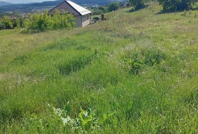 Teren intravilan, in Criseni - 3