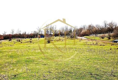 Teren agricol extravilan de 25000 mp, în Secaș - 15