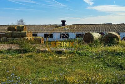 Chiselet, Calarasi, teren intravilan 62000 mp, ferma, logistica, depozitare - 1