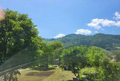 Teren si casa Sat Tarcau zona Garii - 8