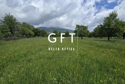 Teren de 900 mp, în Prundu Bârgăului - 3