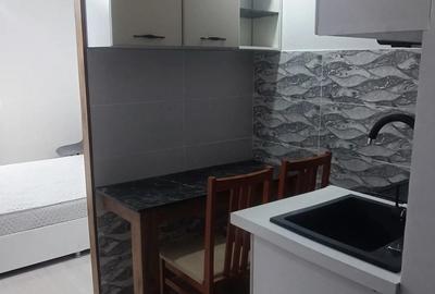 Garsonieră în Theodor Pallady