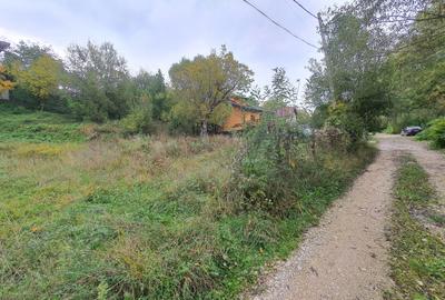 Teren rezidential Sacele zona de case Teren rezidential Sacele zona de case - 3