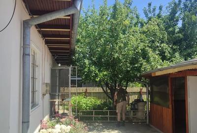 Vand casa Comuna Floresti, Jud.Giurgiu - 9