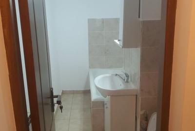 Garsoniera - Decomandata - Parcul Circului - Lacul Tei - 8