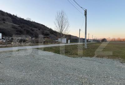 Teren de 4307 mp, în Podari - 4