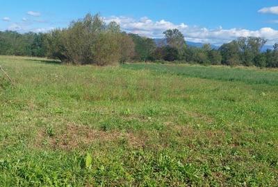 TEREN INTRAVILAN\699 mp, 45€ mp\ CARANSEBEȘ\ ZONA TEIUȘ - 4