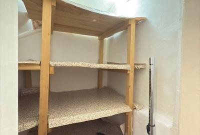 Decebal - Rond Alba Iulia  | Casa Individuala cu Terasa | Centrala Proprie - 17