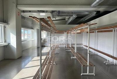 Hala industriala 4700 mp de inchiriat in zona Oncea Oradea - 13