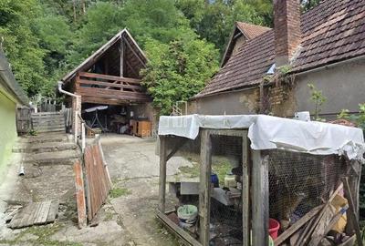 Casă cu 2 camere cu Teren 1334 Mp în Sighișoara - 5