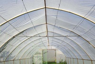 Casă cu 6 camere cu Teren 3000 Mp în Cataloi - 18