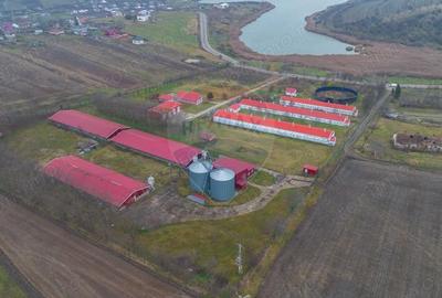 Teren de 43708 mp, în Scobâlțeni - 20