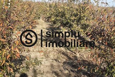 Casa Bradesti, teren 1239 mp - 29 995 Euro - 4