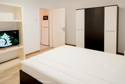Apartament  1 camera zona Profi Grigorescu