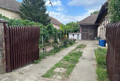 Casă cu 6 camere cu Teren 5755 Mp în Șandra - 2