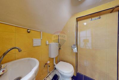 Oportunitate de inchiriere, spatiu comercial in Brasov, zona pietonala - 7