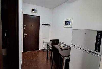 Garsonieră decomandată în Costin Georgian - 8