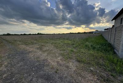 Teren Intravilan Becicherecu Mic ,776 mp,Fs. 17,5m - 2