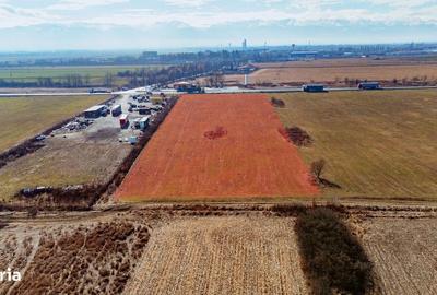 Teren de 11500 mp, în Central