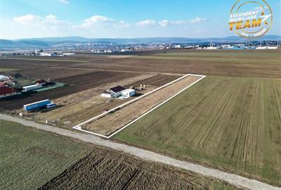 Teren Construcții intravilan de 2498 mp, în Chilieni - 10