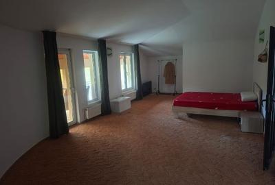 Inchiriez Vila 5 camere in Padurea Snagov, Silistea Snagovului / Pet Friendly - 2