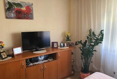 Apartament cu 3 camere decomandat în Ostroveni - 13