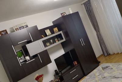 Apartament cu 2 camere decomandat în Remetea - 11