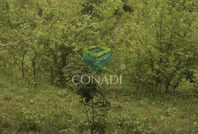 Teren Construcții intravilan de 800 mp, în Exterior Vest - 11