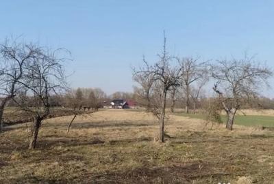 Casă cu 4 camere cu Teren 5400 Mp în Frătăuții Vechi - 5