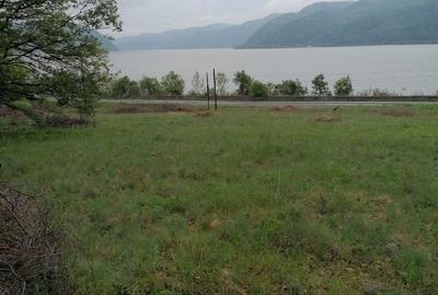 Teren de 2500 mp, în Sichevița - 8