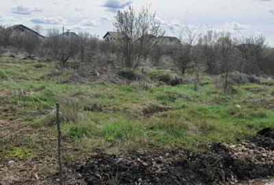 Spațiu comercial, în Central - 2