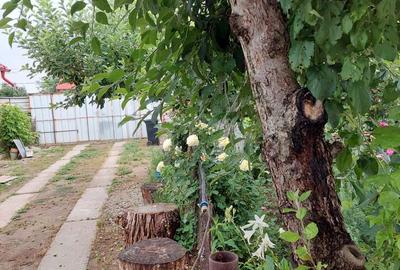 Casă cu 4 camere în Osica de Jos - 8