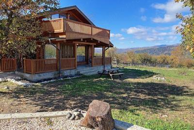 Casă cu 4 camere cu Teren 6240 Mp în Valea Mare - 9