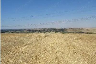 Teren extravilan Cernavoda, ID: R2755634 - 2
