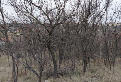 Teren Construcții intravilan de 2815 mp, în Periferie - 9