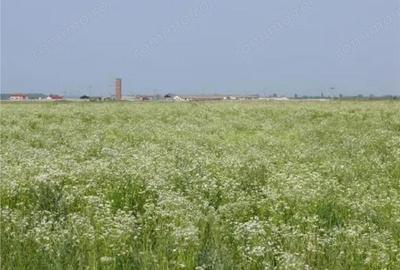 Teren de 70000 mp, în Central - 1