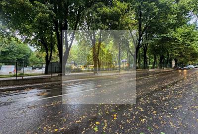 Casă individuală cu 4 camere cu Teren 270 Mp în Copou - 17