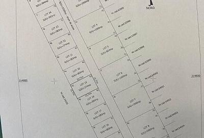 | TEREN 374 MP | COMUNA BERCENI-MIORITA | INTRAVILIAN | - 3