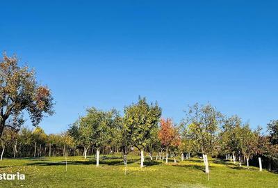 Casă cu 3 camere cu Teren 1994 Mp în Central - 12