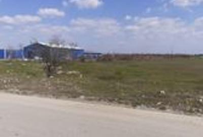 Teren intravilan 10.000 -38.000 mp industrial 1 Decembrie- DN5 stradal Teren intravilan 10.000 -38.000 mp industrial 1 Decembrie- DN5 stradal - 4