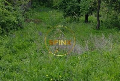 Teren intravilan cu deschidere la parau in Breaza – Strada Primaverii - 3