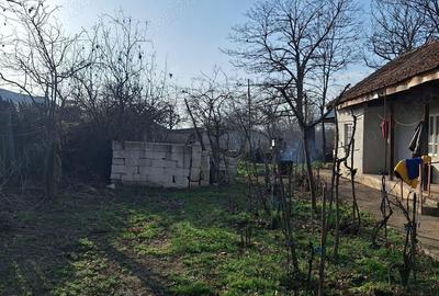 Casă cu 4 camere în Drăgănești-Vlașca - 10